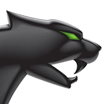 :catstor: