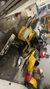 IMG_0367.jpeg