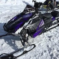 scooterfrank